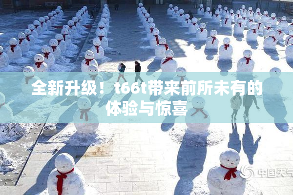 全新升级！t66t带来前所未有的体验与惊喜