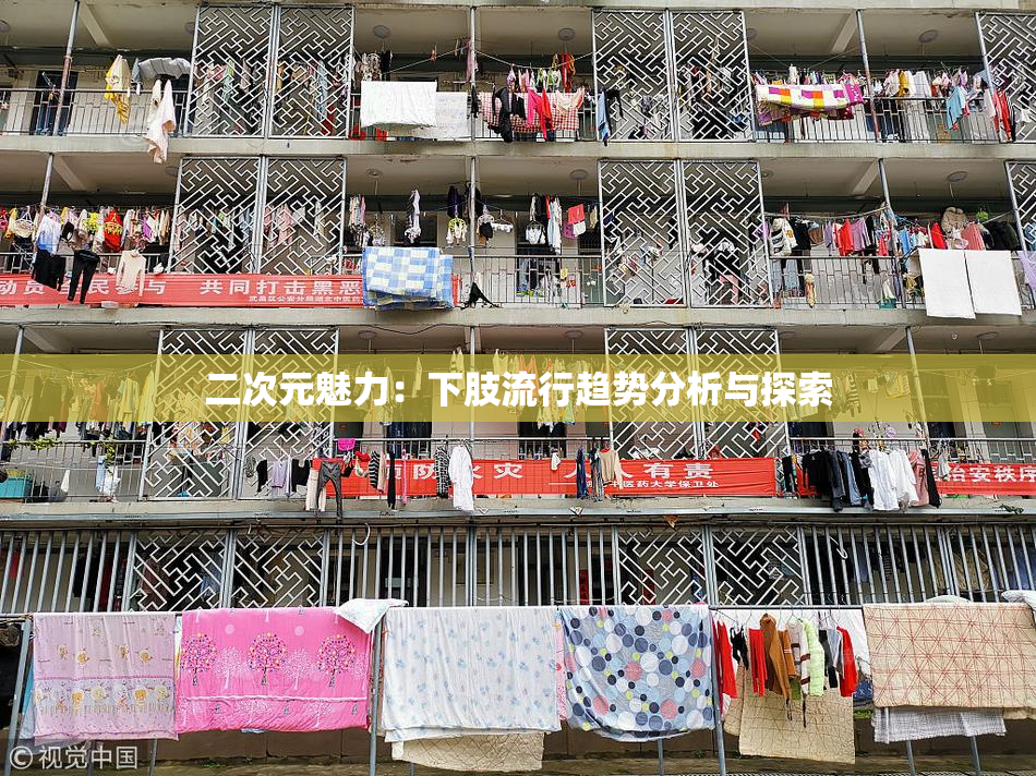 二次元魅力：下肢流行趋势分析与探索