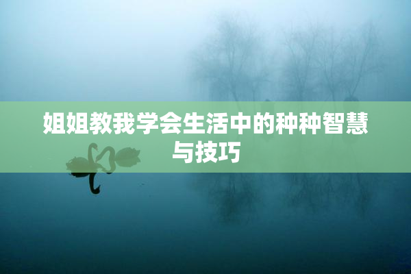 姐姐教我学会生活中的种种智慧与技巧