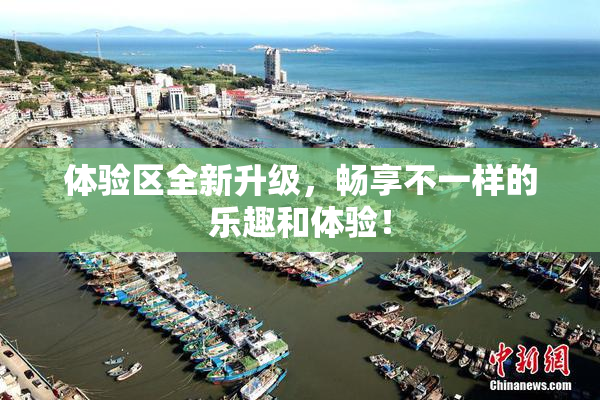 体验区全新升级，畅享不一样的乐趣和体验！