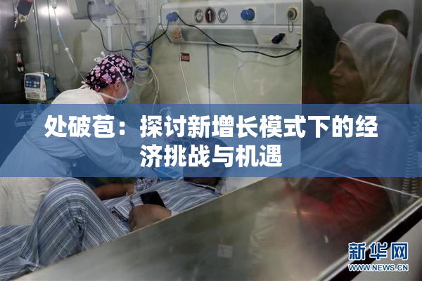 处破苞：探讨新增长模式下的经济挑战与机遇