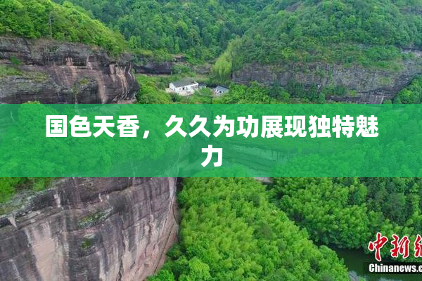 国色天香，久久为功展现独特魅力