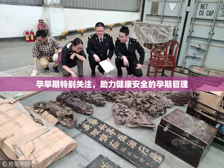 孕早期特别关注，助力健康安全的孕期管理