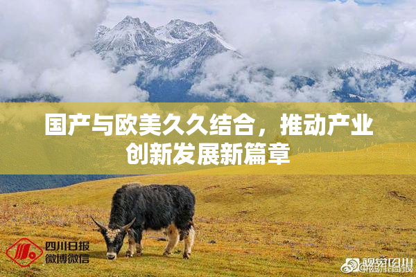 国产与欧美久久结合，推动产业创新发展新篇章