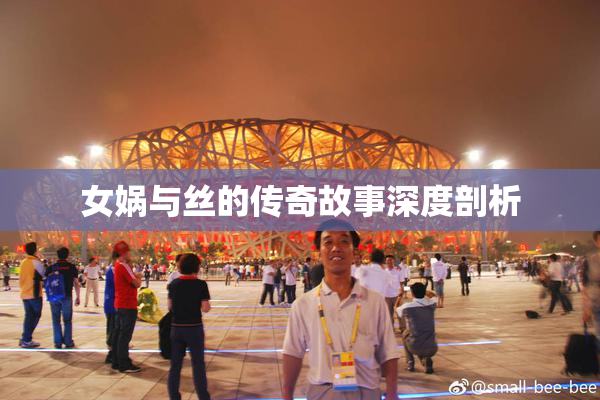 女娲与丝的传奇故事深度剖析