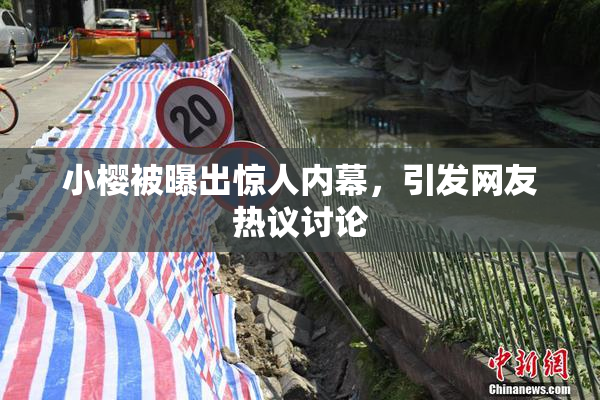 小樱被曝出惊人内幕，引发网友热议讨论