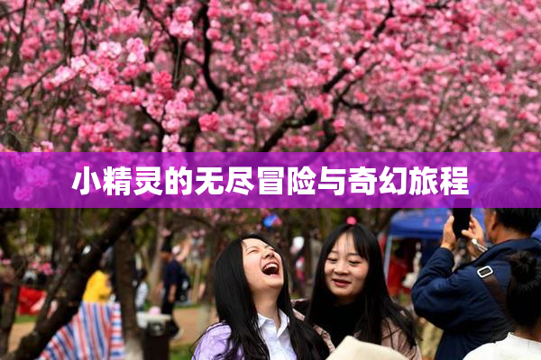 小精灵的无尽冒险与奇幻旅程
