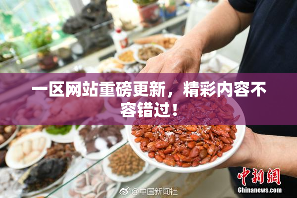 一区网站重磅更新，精彩内容不容错过！