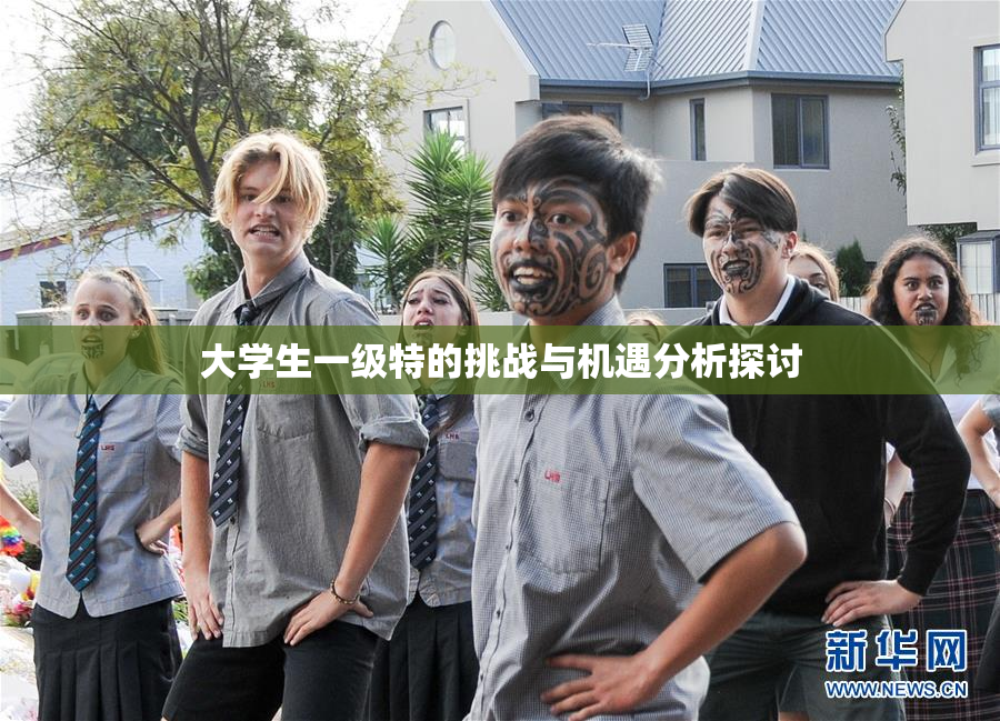 大学生一级特的挑战与机遇分析探讨