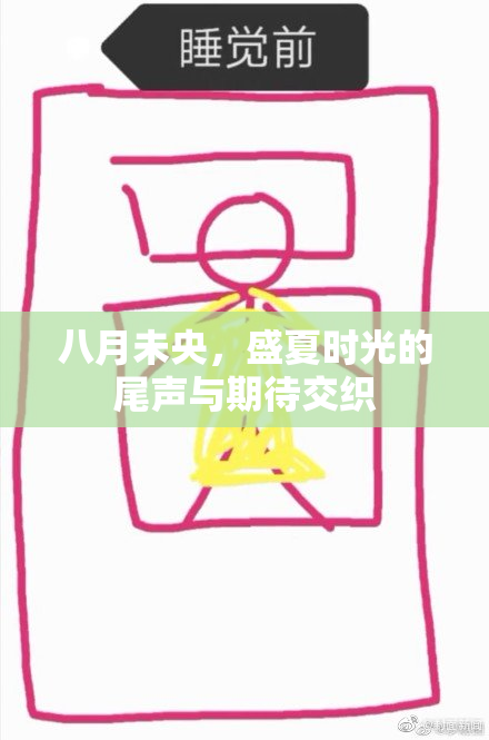 八月未央，盛夏时光的尾声与期待交织