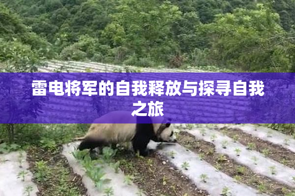 雷电将军的自我释放与探寻自我之旅