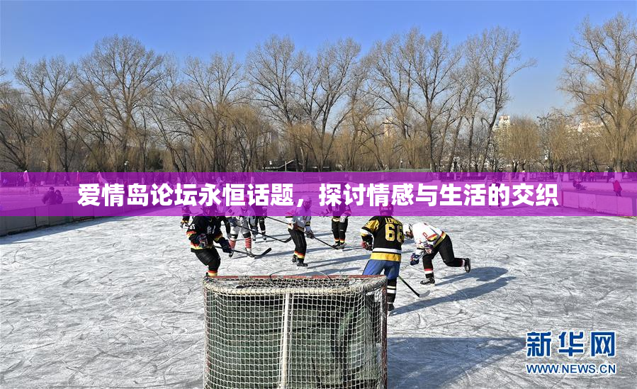爱情岛论坛永恒话题，探讨情感与生活的交织