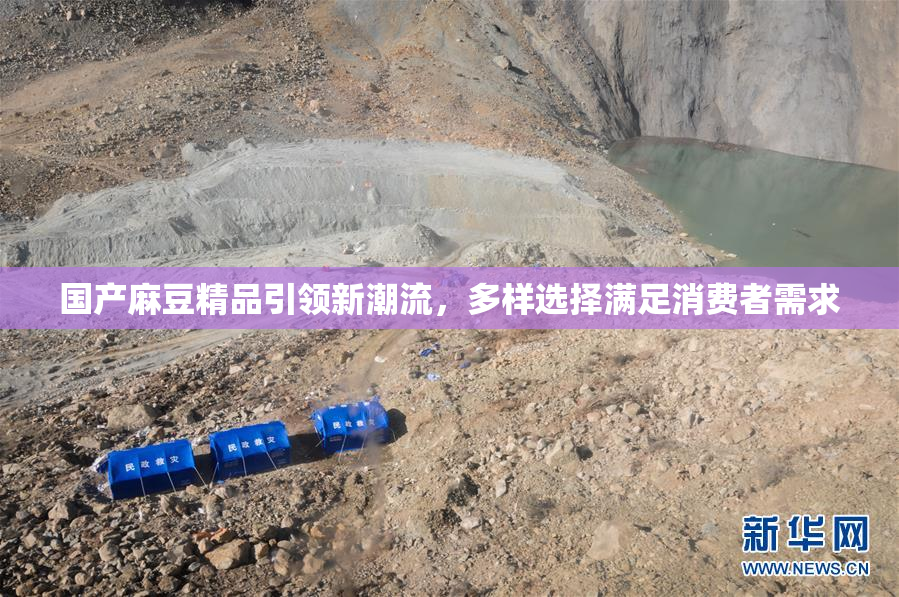 国产麻豆精品引领新潮流，多样选择满足消费者需求