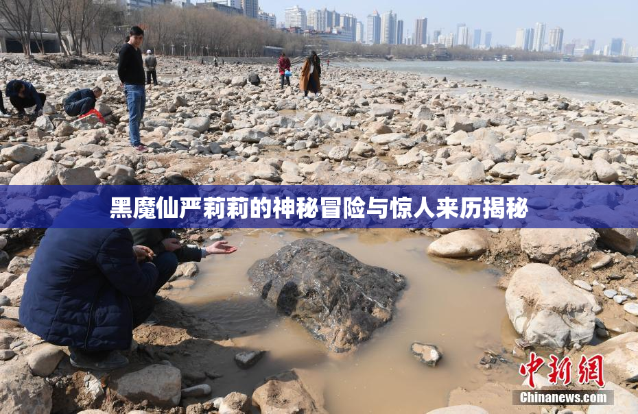 黑魔仙严莉莉的神秘冒险与惊人来历揭秘