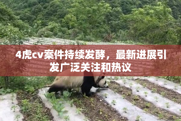 4虎cv案件持续发酵，最新进展引发广泛关注和热议