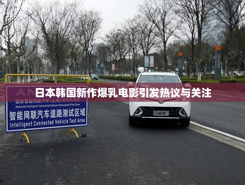 日本韩国新作爆乳电影引发热议与关注