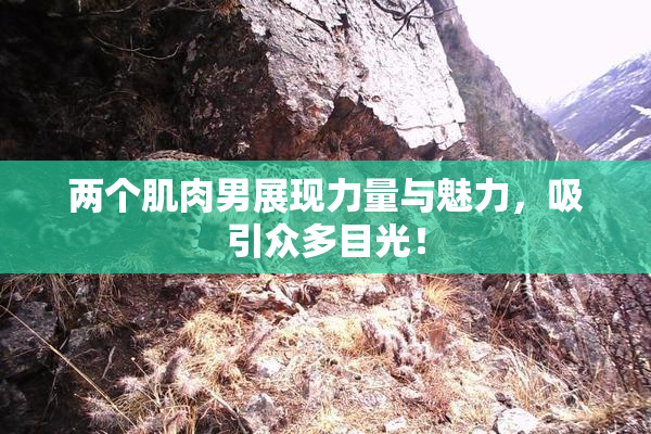 两个肌肉男展现力量与魅力，吸引众多目光！