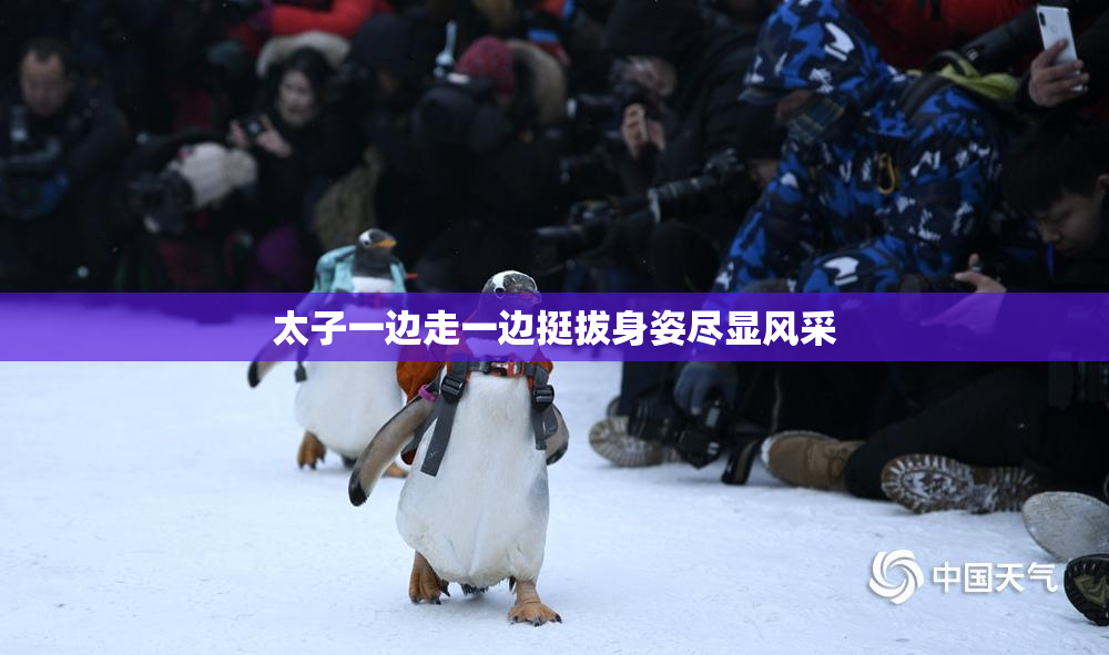 太子一边走一边挺拔身姿尽显风采