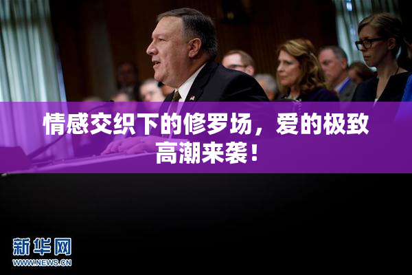 情感交织下的修罗场，爱的极致高潮来袭！