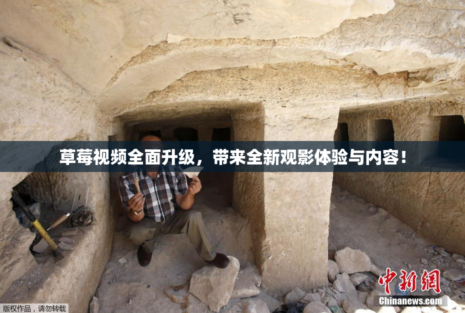 草莓视频全面升级，带来全新观影体验与内容！
