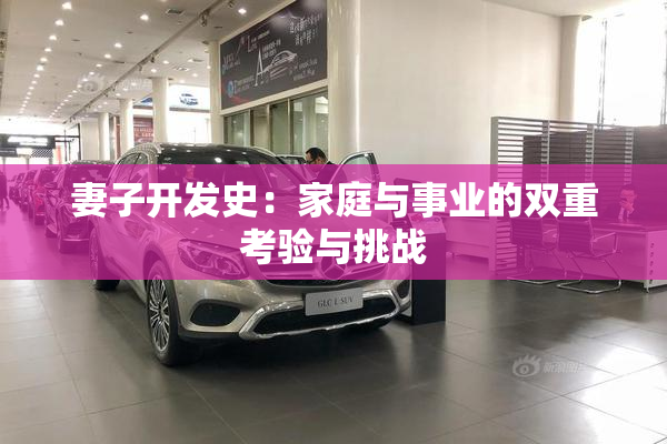 妻子开发史：家庭与事业的双重考验与挑战