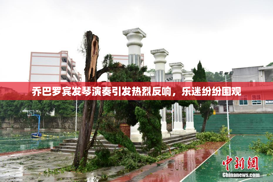 乔巴罗宾发琴演奏引发热烈反响，乐迷纷纷围观