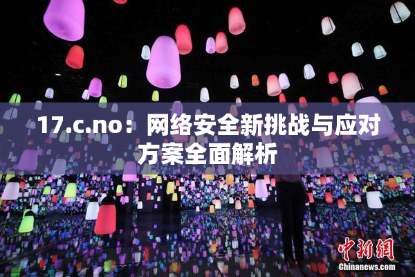17.c.no：网络安全新挑战与应对方案全面解析