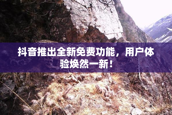 抖音推出全新免费功能，用户体验焕然一新！