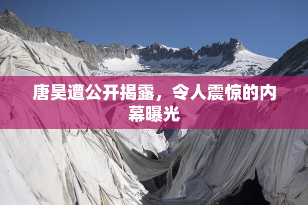 唐昊遭公开揭露，令人震惊的内幕曝光