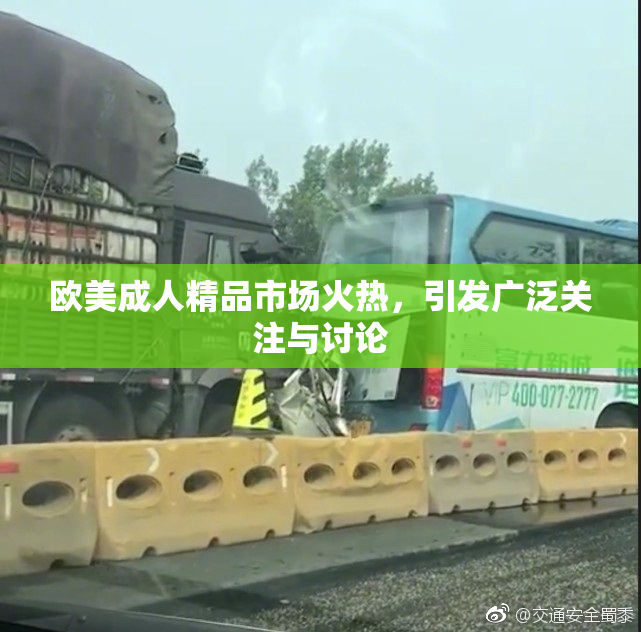 欧美成人精品市场火热，引发广泛关注与讨论