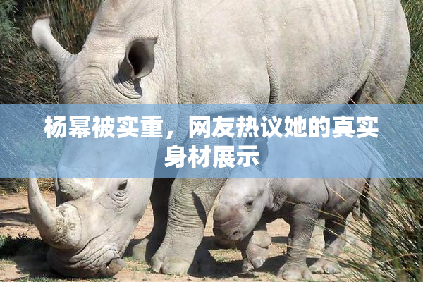 杨幂被实重，网友热议她的真实身材展示