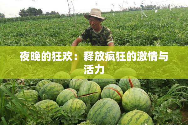 夜晚的狂欢：释放疯狂的激情与活力