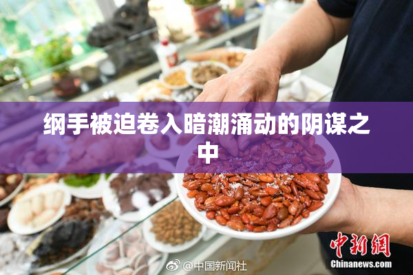 纲手被迫卷入暗潮涌动的阴谋之中
