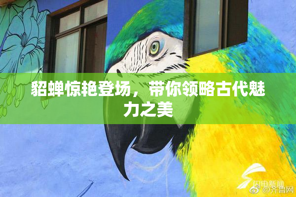 貂蝉惊艳登场，带你领略古代魅力之美