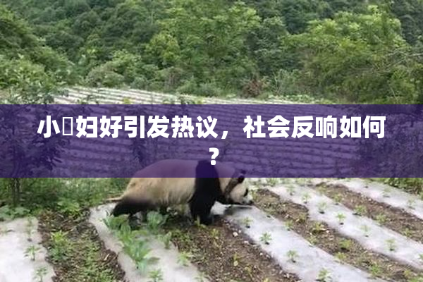 小婬妇好引发热议，社会反响如何？