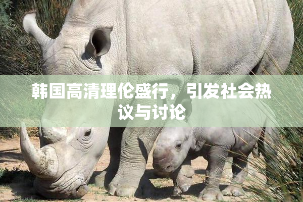 韩国高清理伦盛行，引发社会热议与讨论