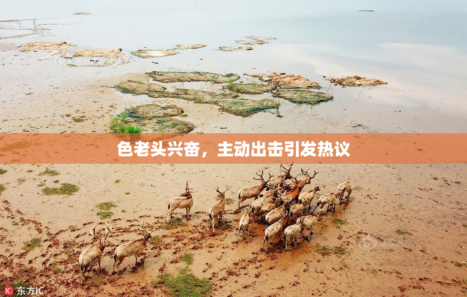 色老头兴奋，主动出击引发热议
