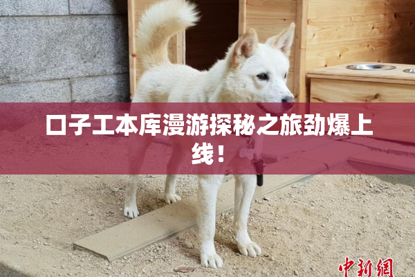 口子工本库漫游探秘之旅劲爆上线！
