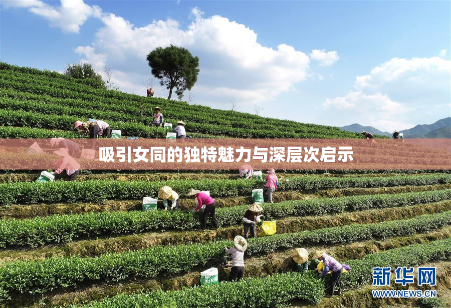 吸引女同的独特魅力与深层次启示