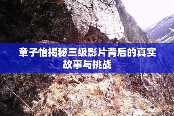 章子怡揭秘三级影片背后的真实故事与挑战