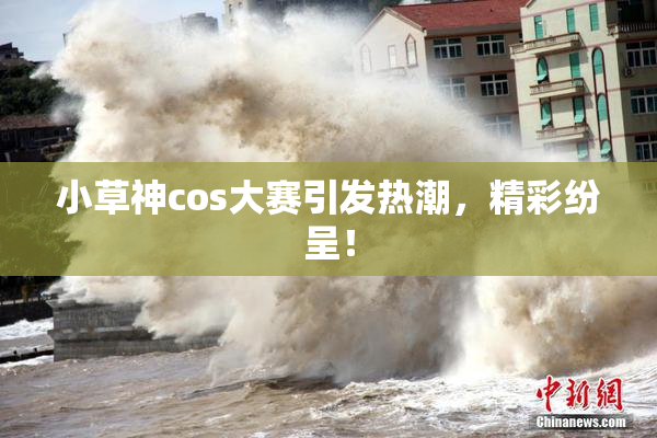 小草神cos大赛引发热潮，精彩纷呈！