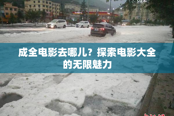 成全电影去哪儿？探索电影大全的无限魅力