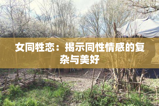女同牲恋：揭示同性情感的复杂与美好