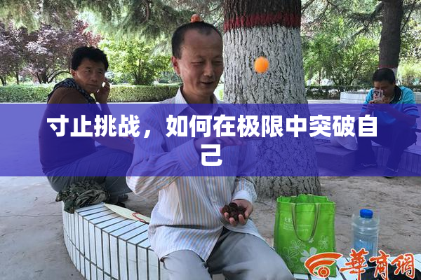寸止挑战，如何在极限中突破自己