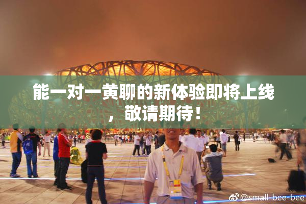 能一对一黄聊的新体验即将上线，敬请期待！