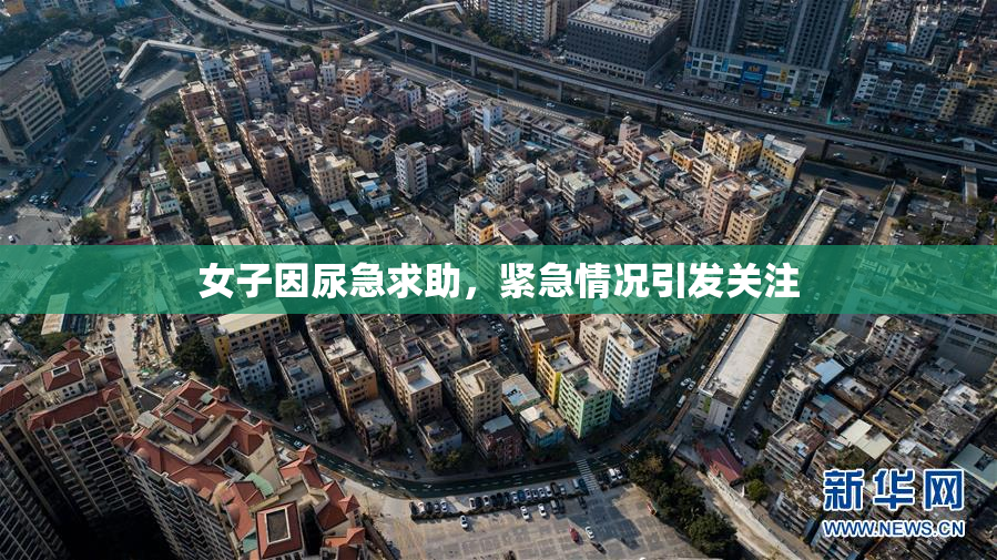 女子因尿急求助，紧急情况引发关注