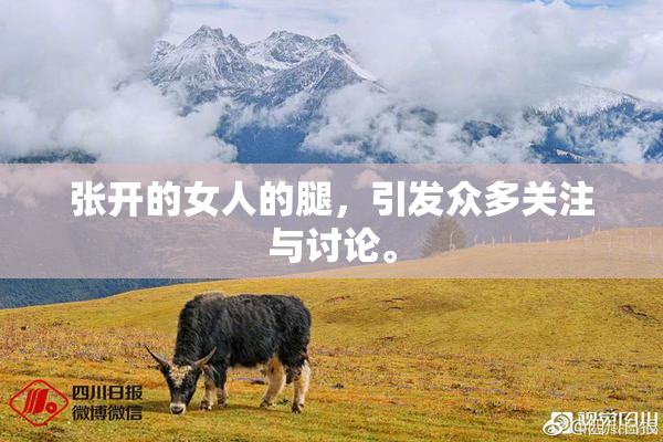 张开的女人的腿，引发众多关注与讨论。