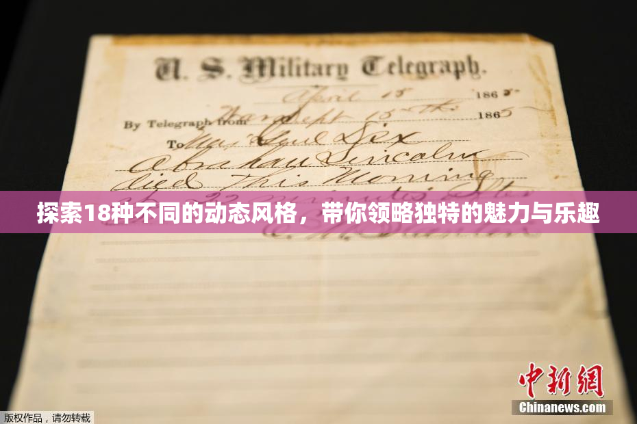 探索18种不同的动态风格，带你领略独特的魅力与乐趣