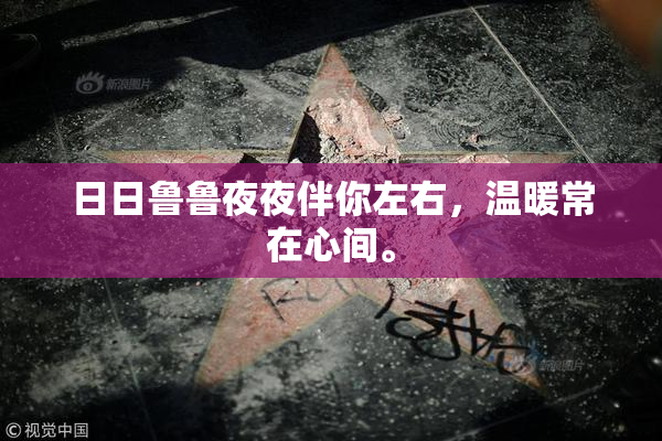 日日鲁鲁夜夜伴你左右，温暖常在心间。