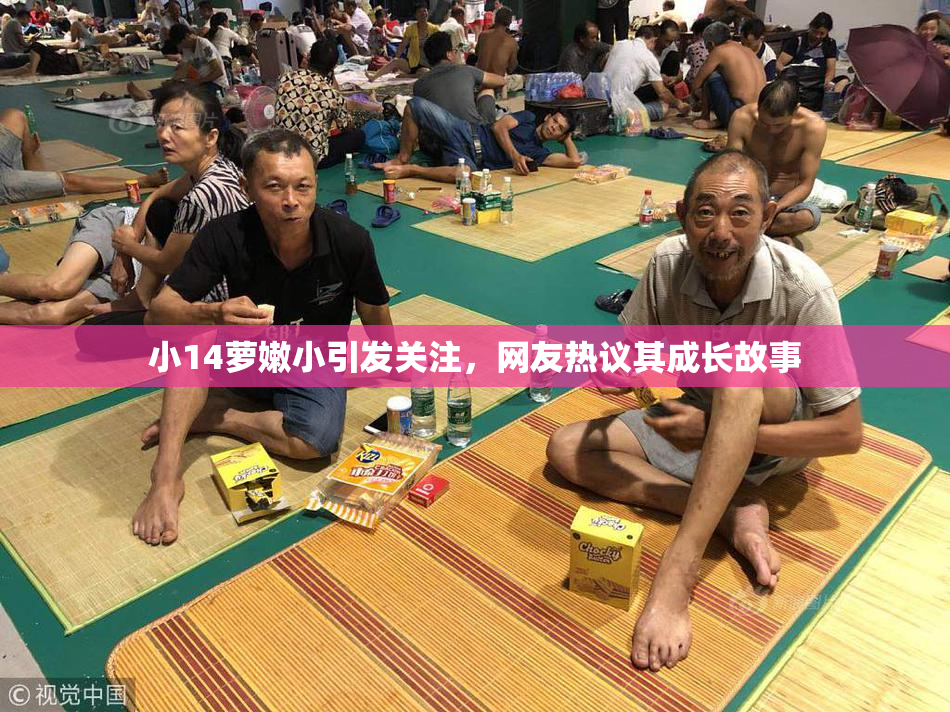 小14萝嫩小引发关注，网友热议其成长故事